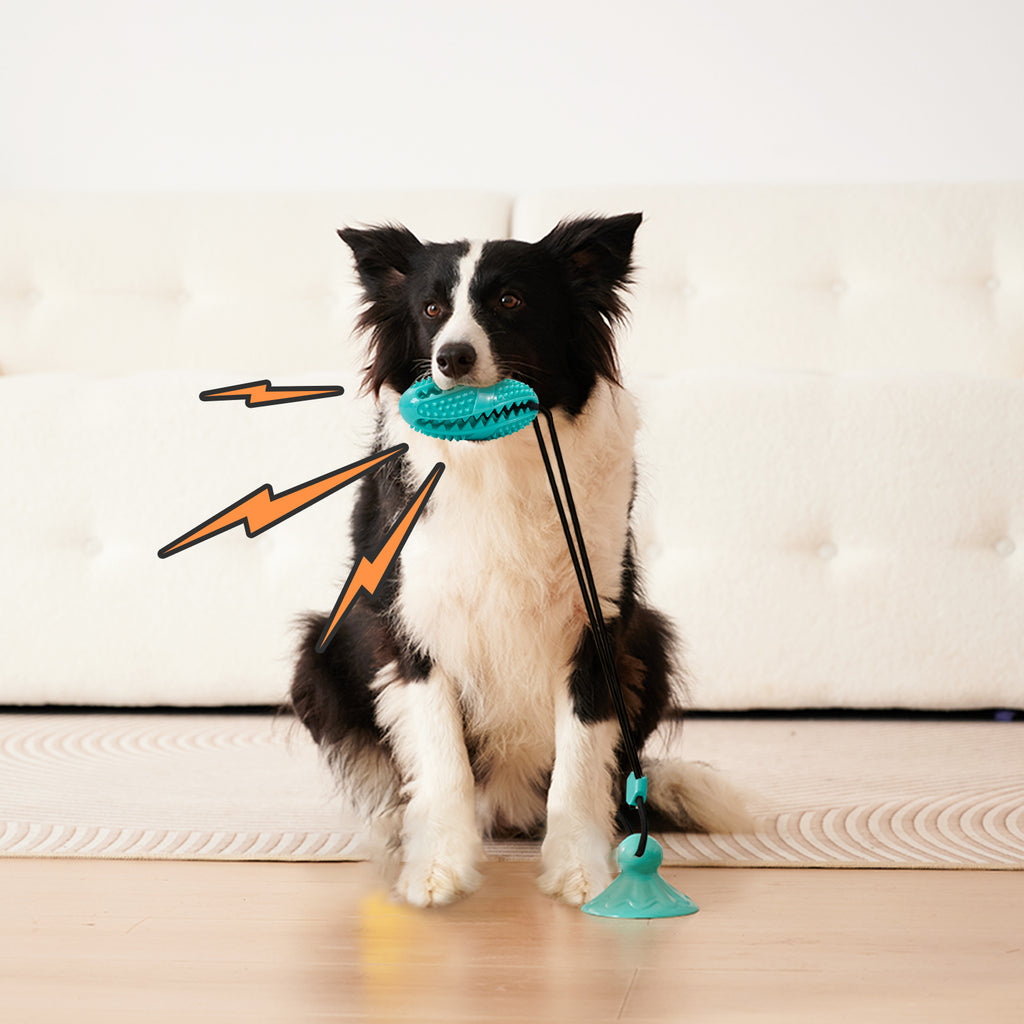 Suction Cup Pull Rope Leaking Pet Toy Ball Tpr Molar Teeth Cleaning Vent Ball Dog Toy Ball