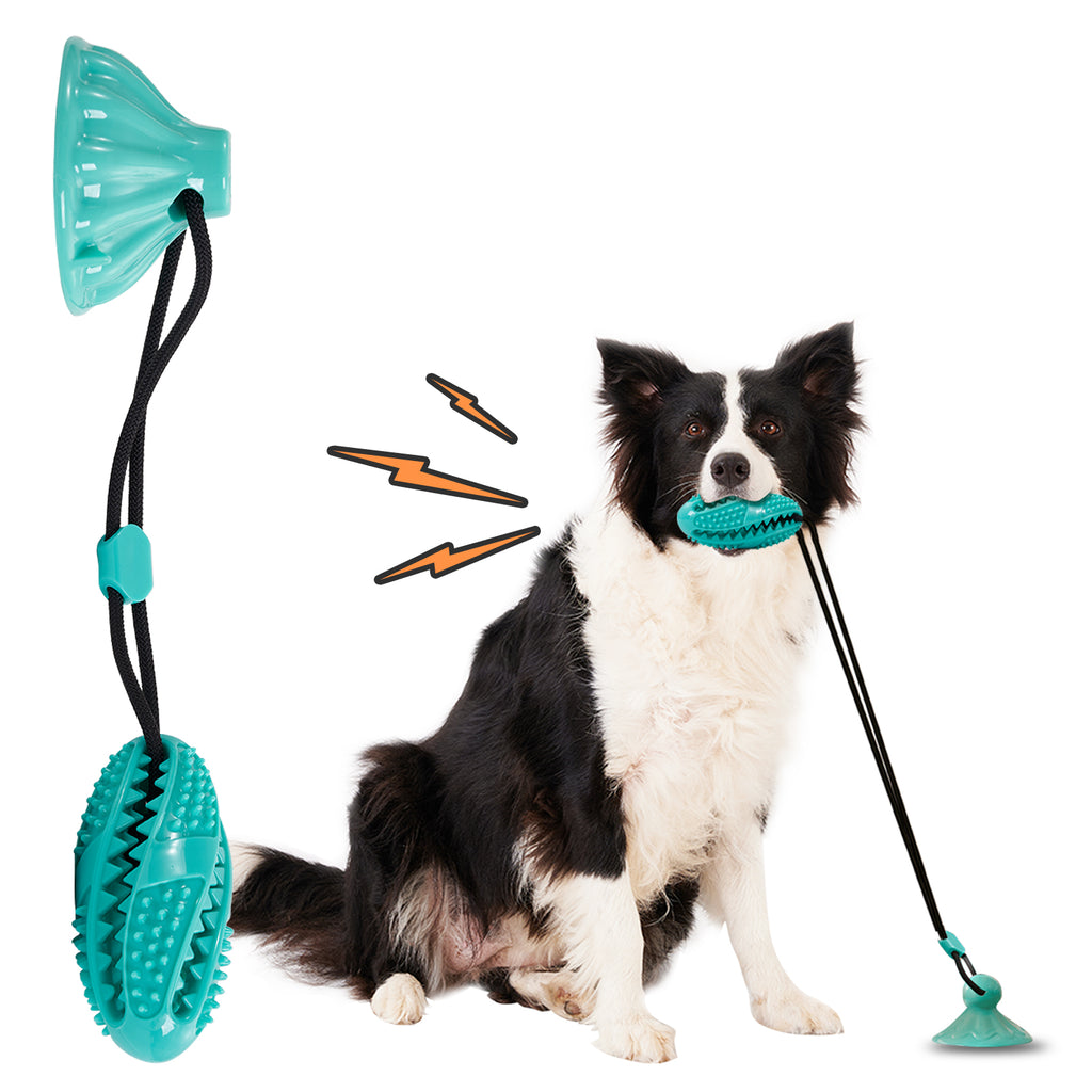 Suction Cup Pull Rope Leaking Pet Toy Ball Tpr Molar Teeth Cleaning Vent Ball Dog Toy Ball