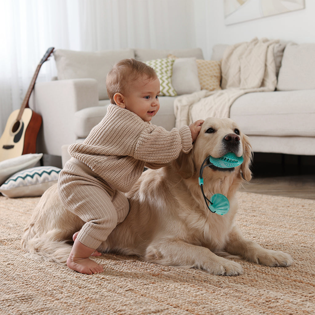 Suction Cup Pull Rope Leaking Pet Toy Ball Tpr Molar Teeth Cleaning Vent Ball Dog Toy Ball